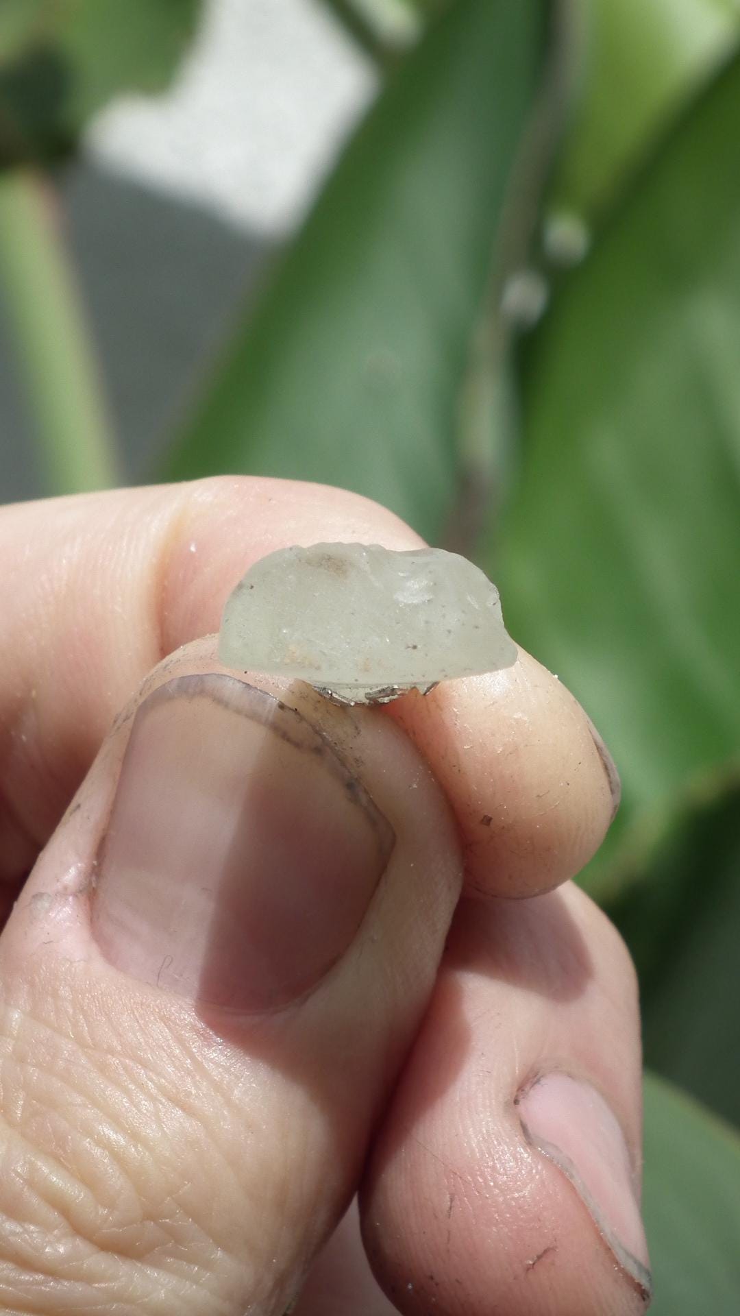 Genuine libyan desert glass pendant