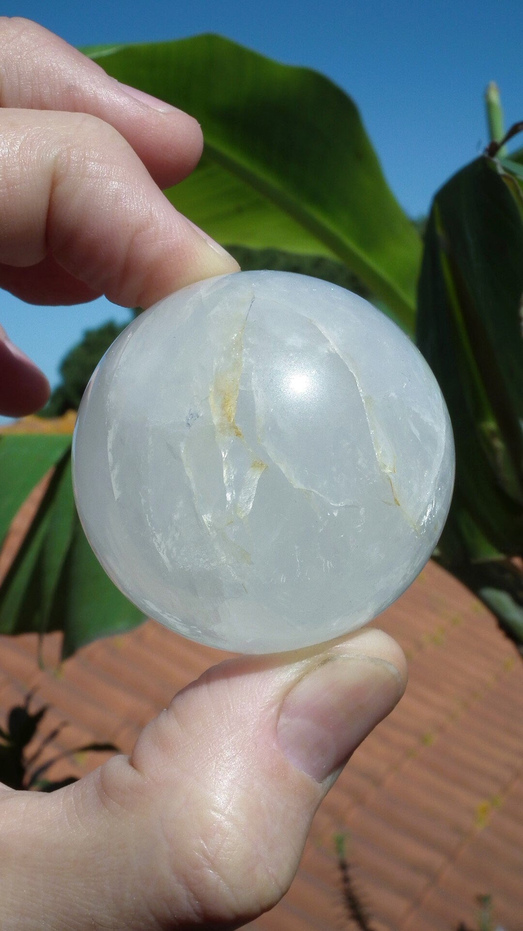 Golden Healer Sphere, XL Golden Healer, Yellow Hematoid