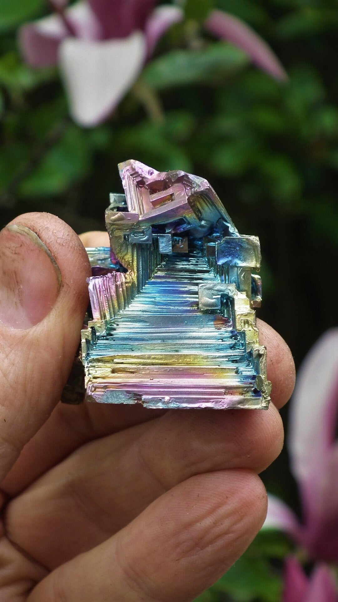 Bismuth crystal