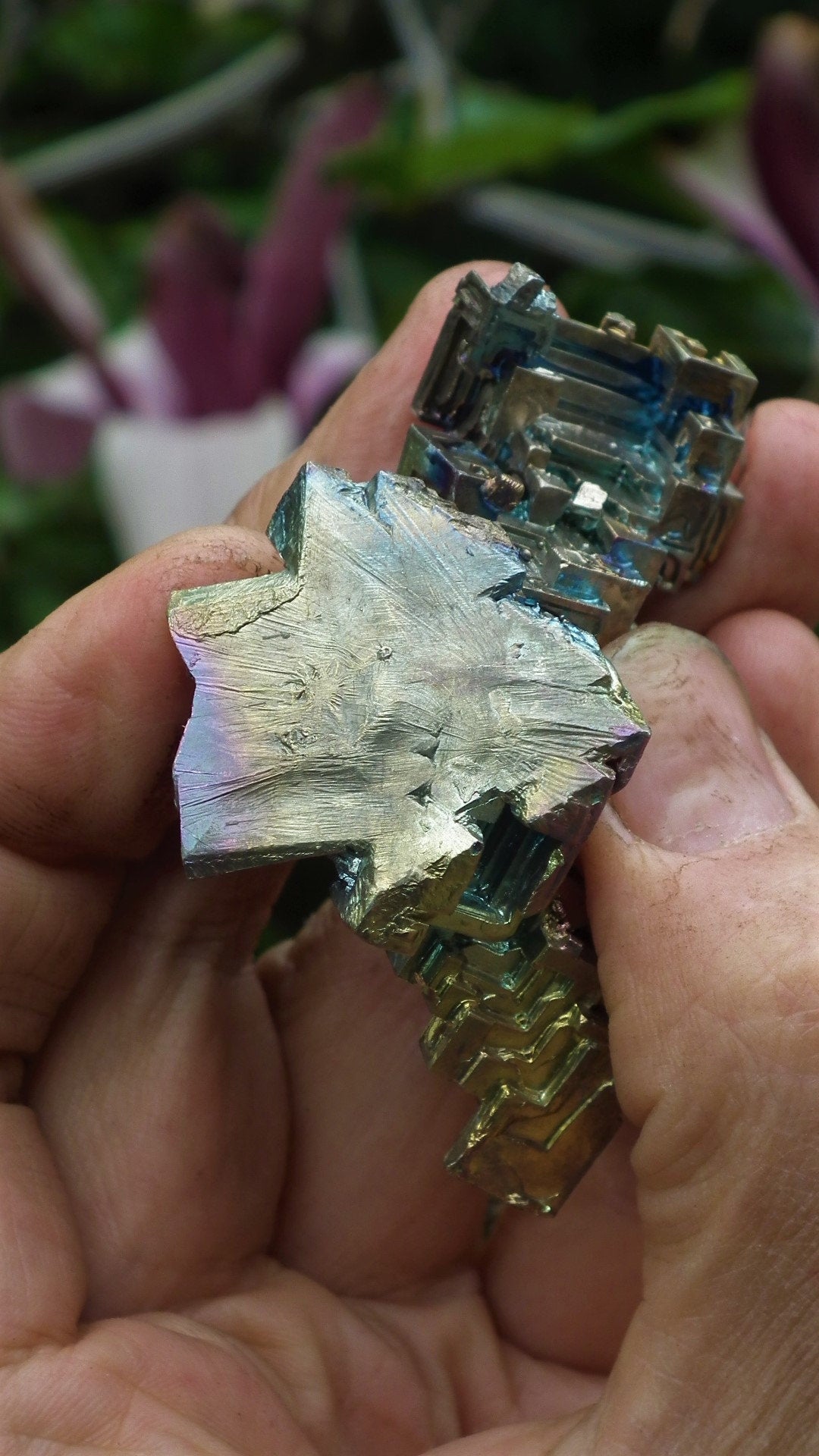 Bismuth crystal