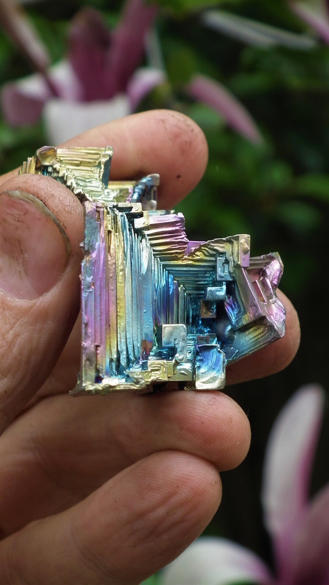 Bismuth crystal