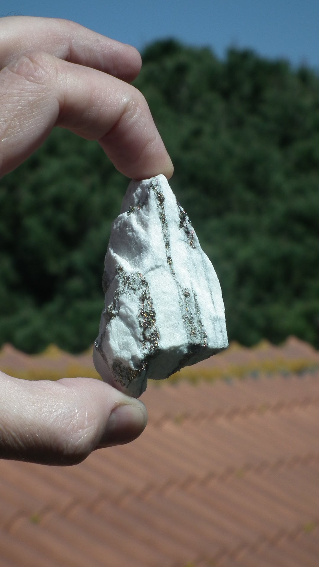 Pyrite in Snow Dolomite