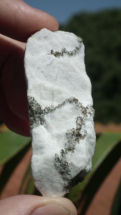 Pyrite in Snow Dolomite