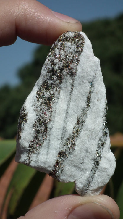 Pyrite in Snow Dolomite