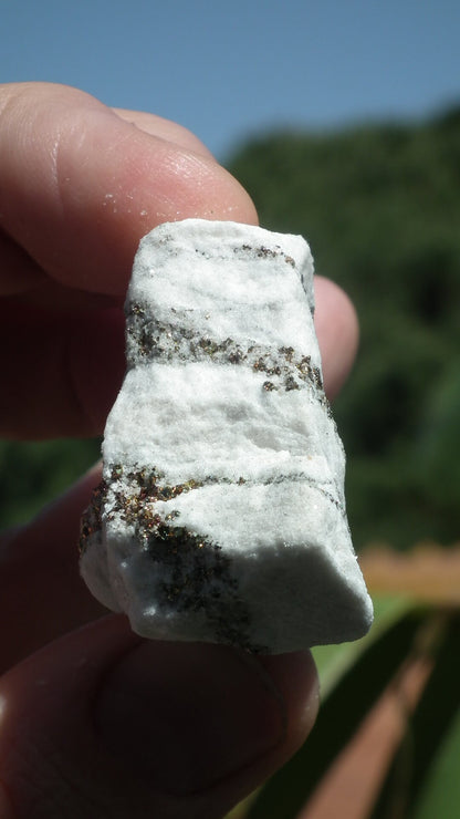 Pyrite in Snow Dolomite