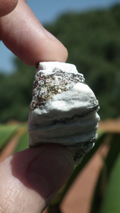 Pyrite in Snow Dolomite