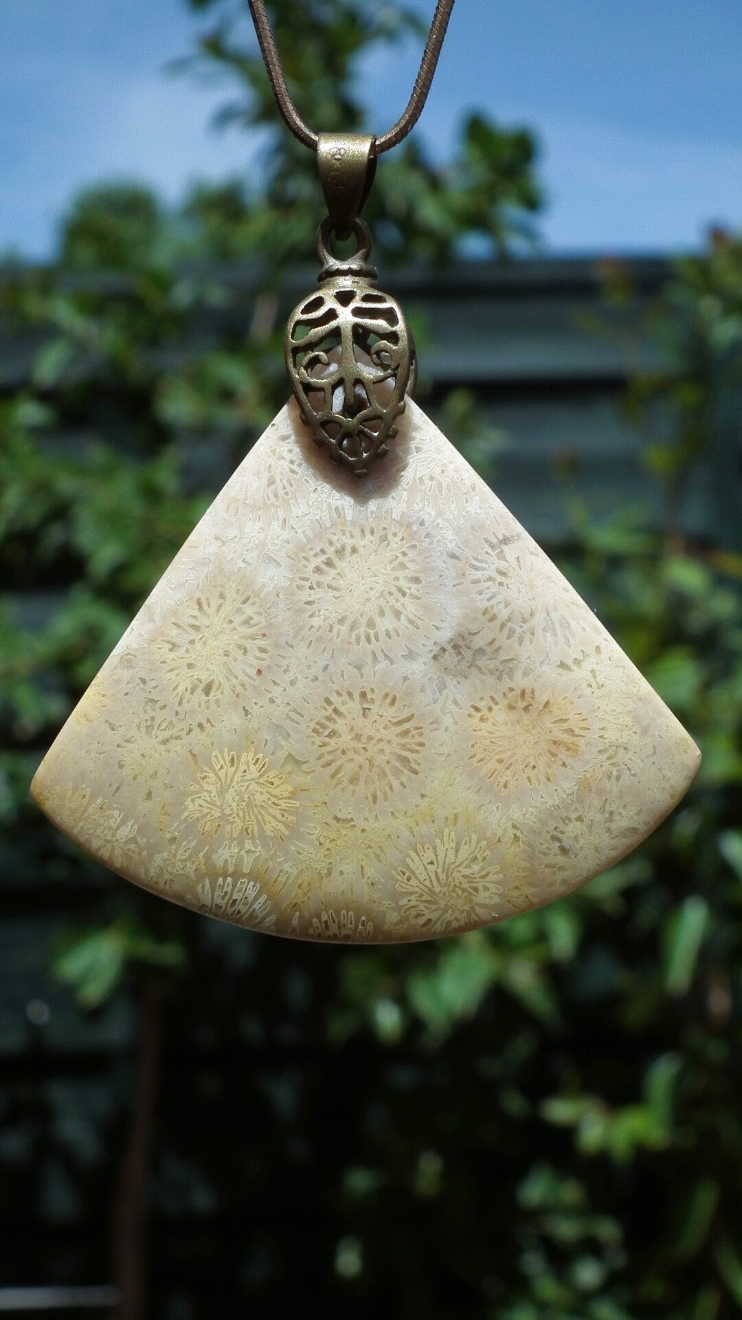 fossilized coral necklace