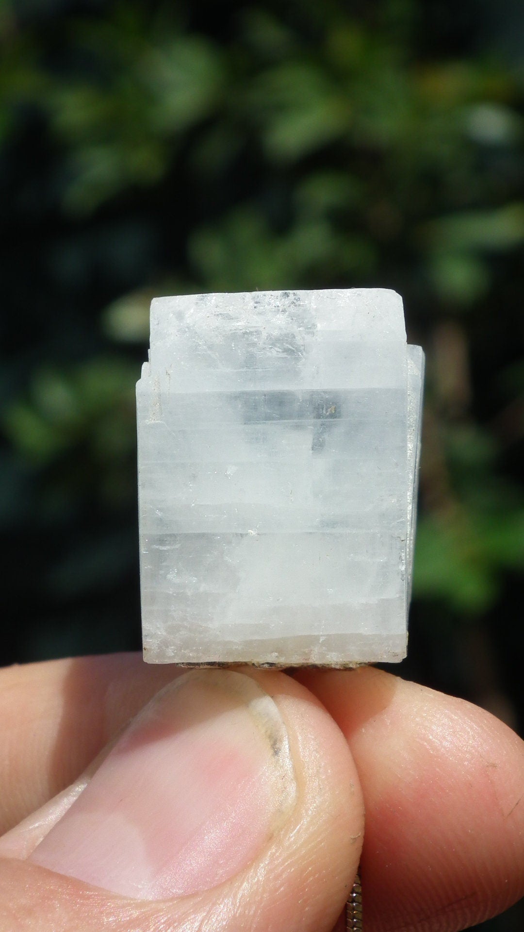 Apophyllite pendant / Raw apophyllite