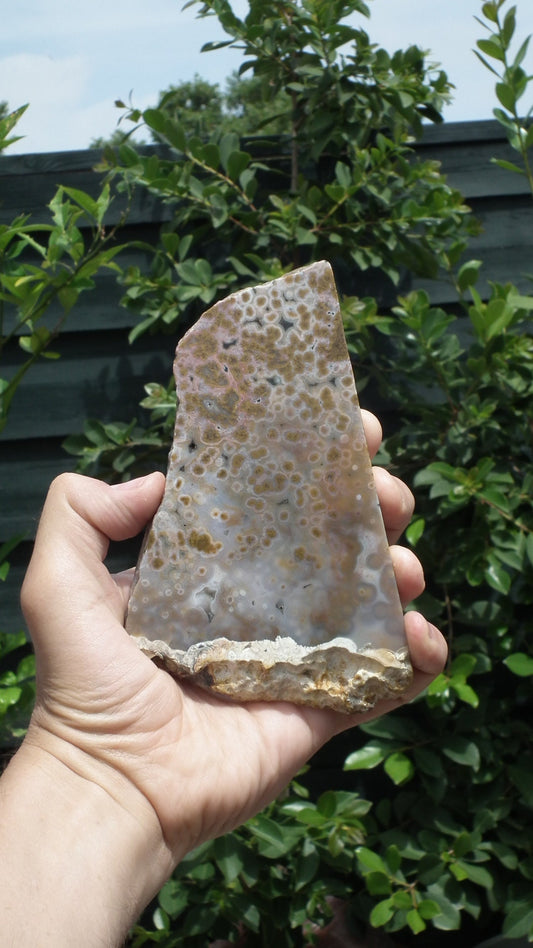 Ocean jasper Slab