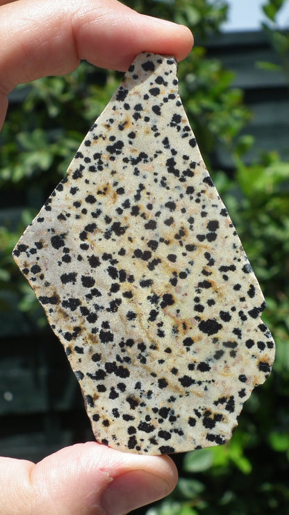 Dalmatian jasper Slab