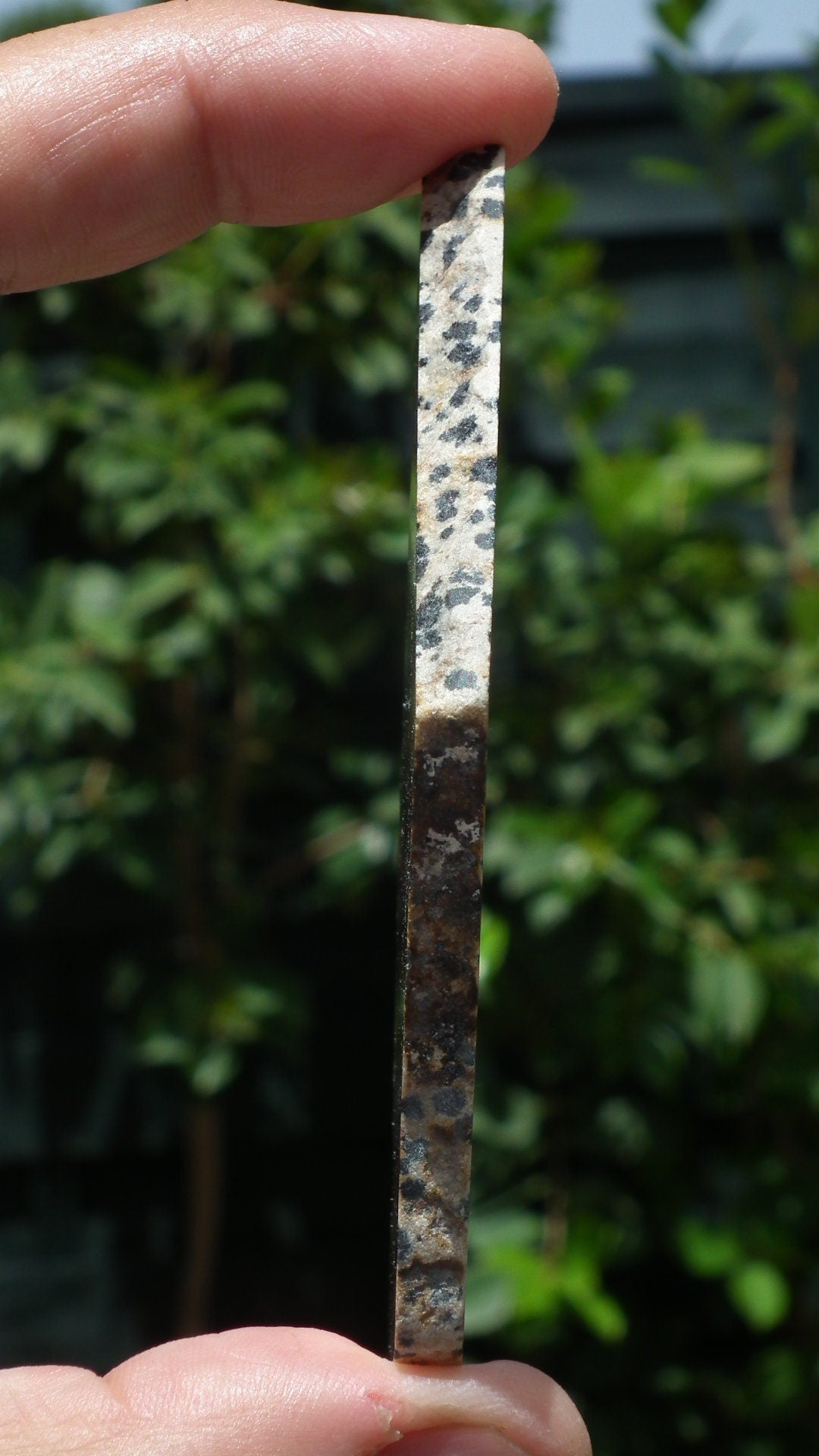 Dalmatian jasper Slab