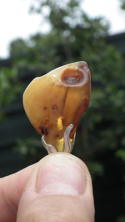 Baltic amber pendant