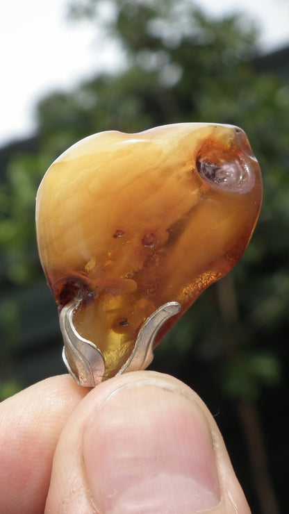 Baltic amber pendant