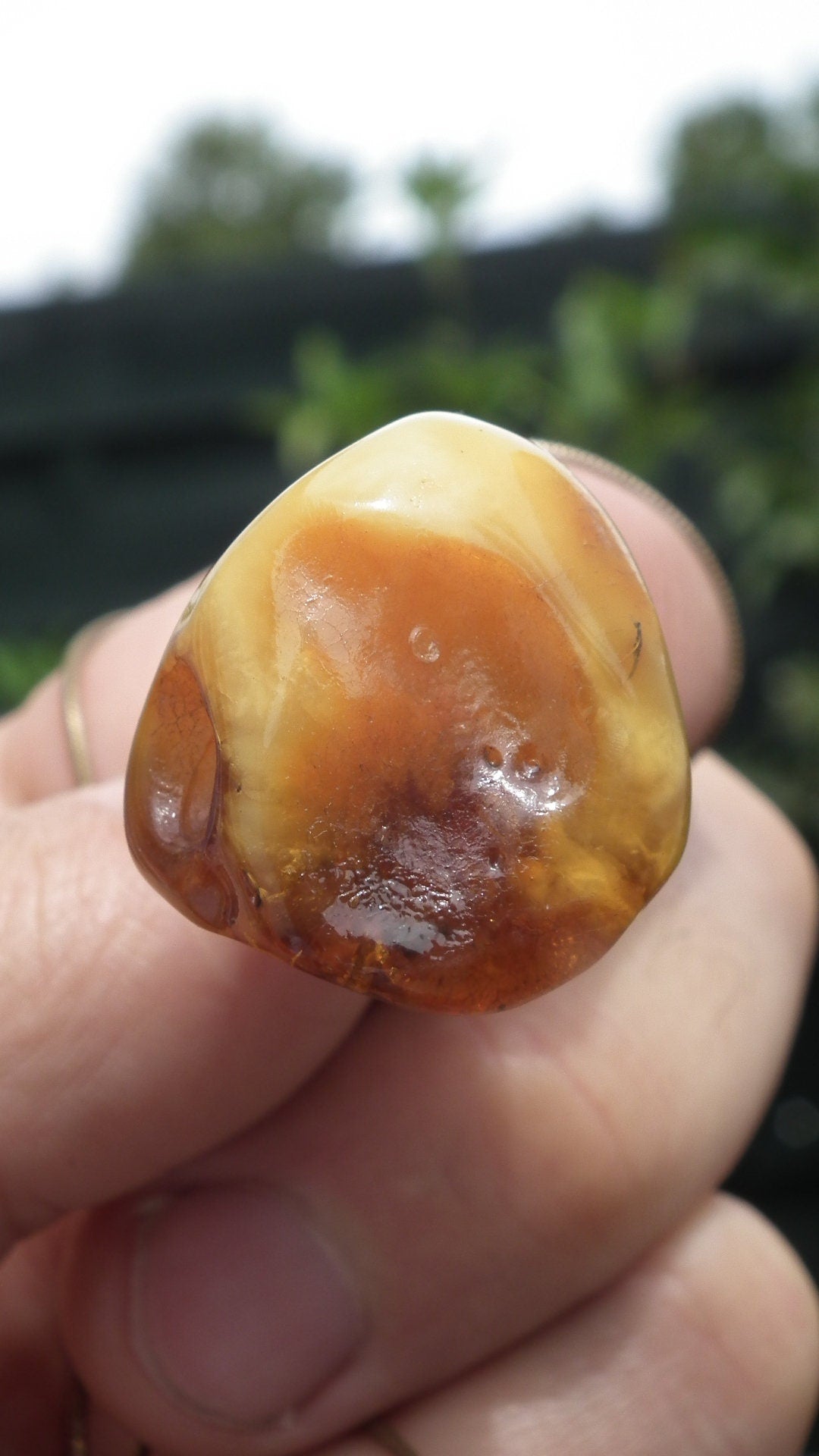 Baltic amber pendant