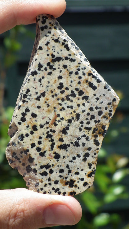 Dalmatian jasper Slab