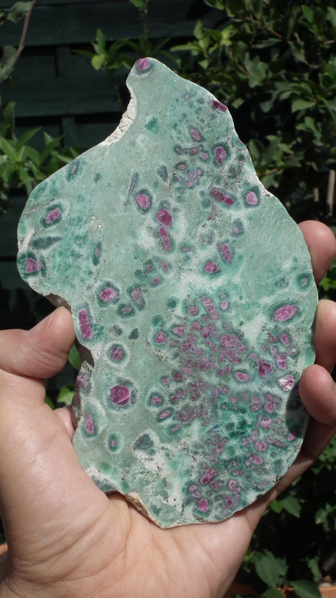 Ruby in Fuchsite with phrenite freeform