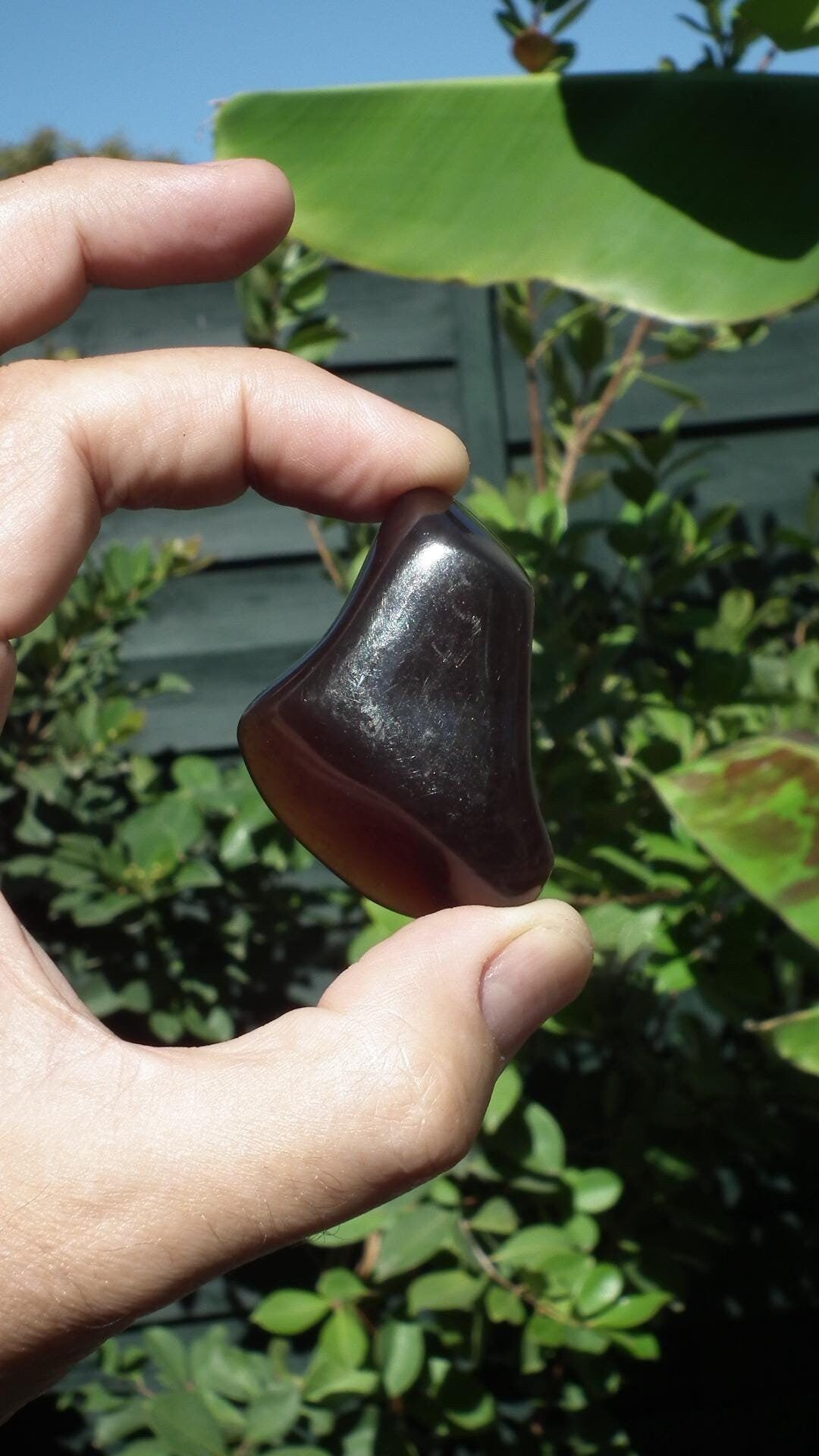 Blue sumatra Amber / Bernstein palmpiece / freeform