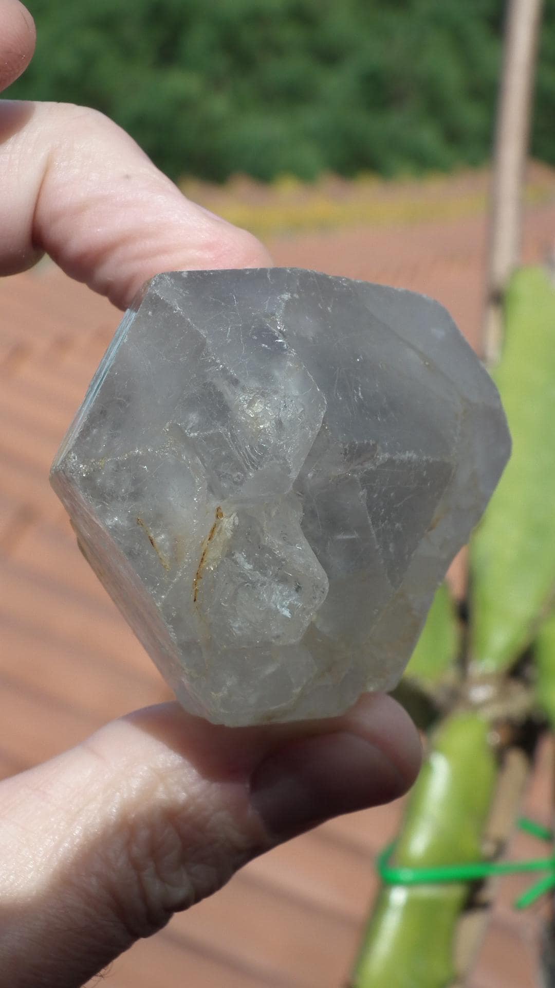 Double terminated enhydro quartz