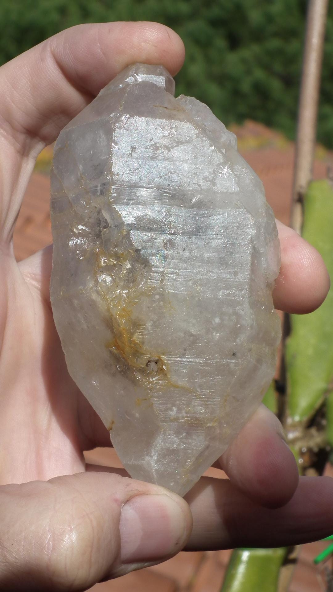 Double terminated enhydro quartz