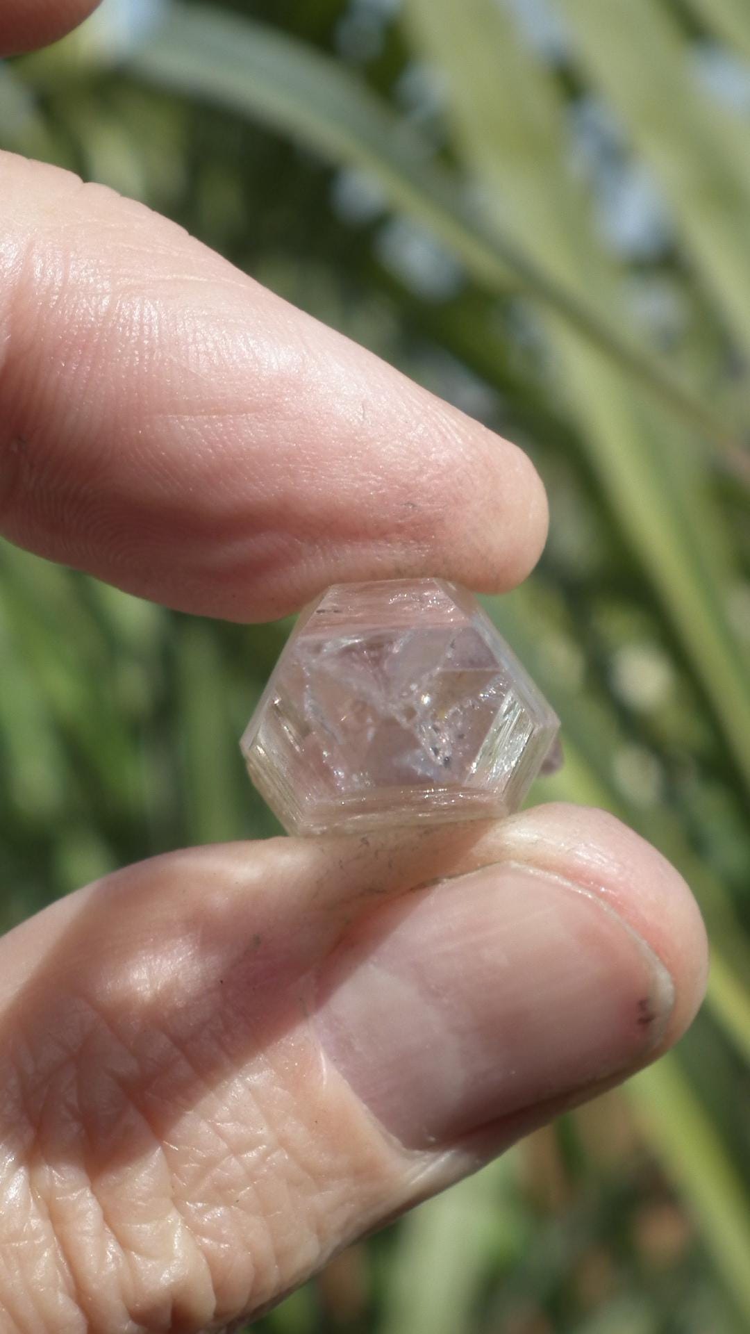 Enhydro crystal // Uv reactive crystal // Petroleum quartz