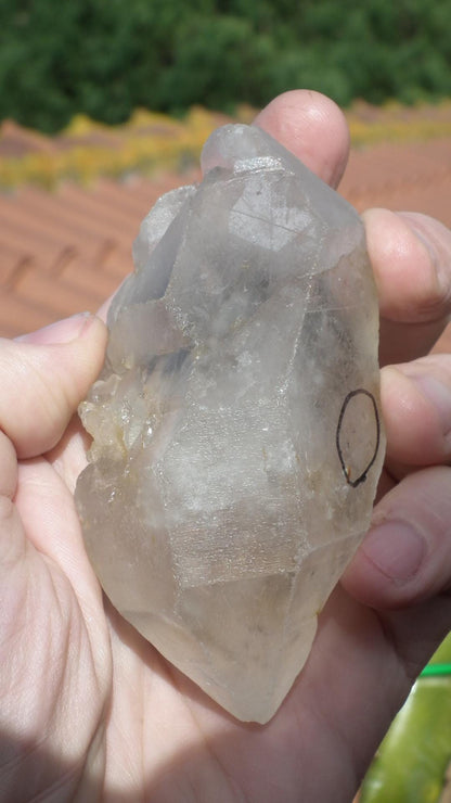 Double terminated enhydro quartz