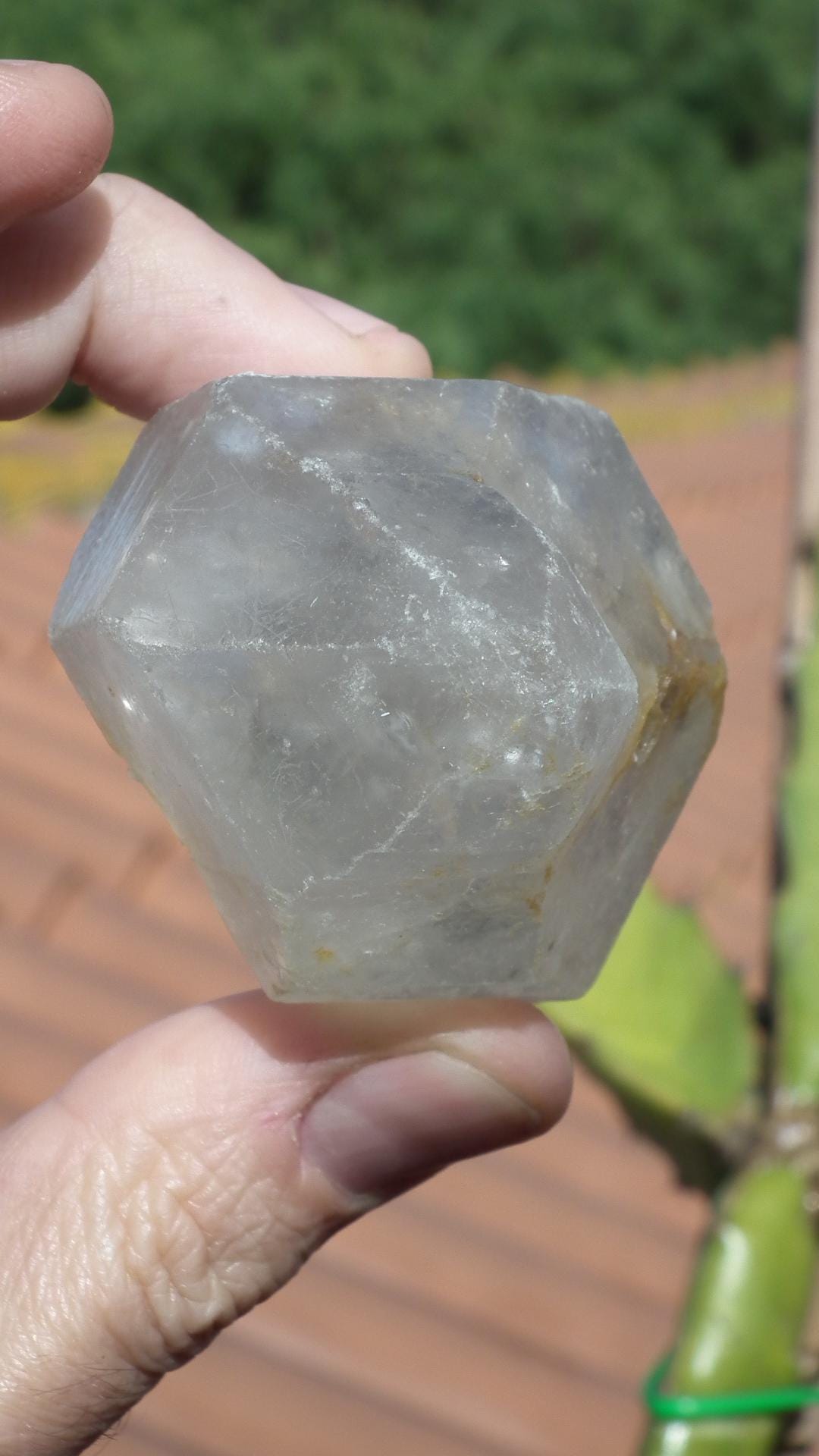 Double terminated enhydro quartz