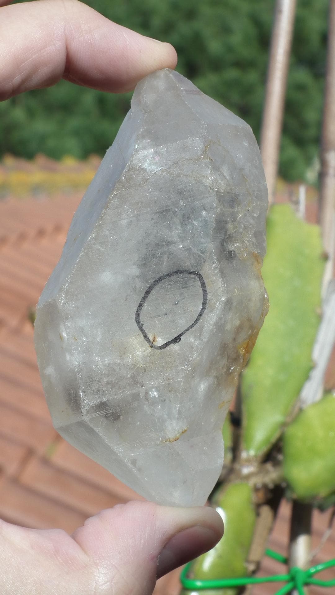 Double terminated enhydro quartz