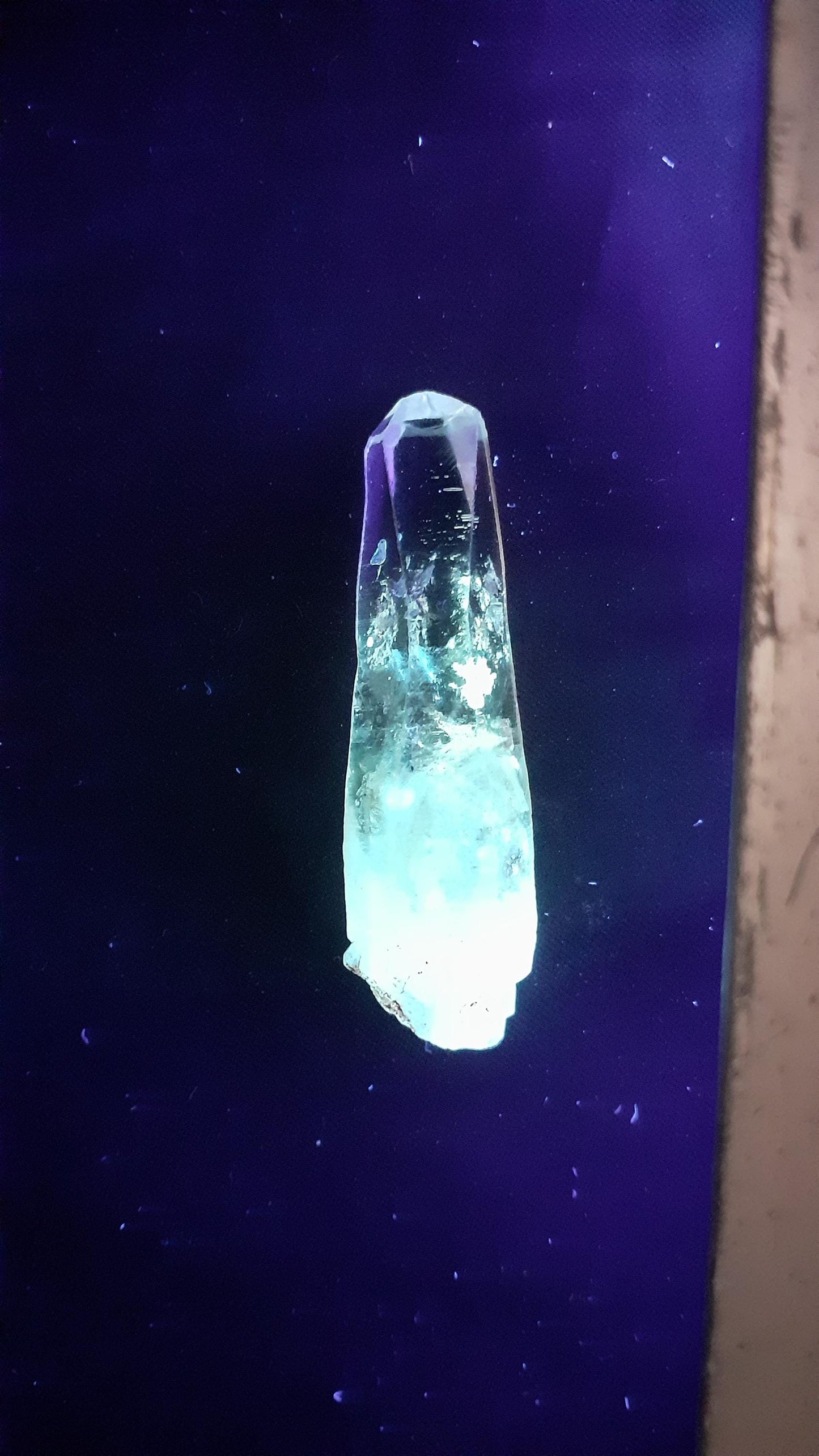 Enhydro crystal // Uv reactive crystal // Petroleum quartz