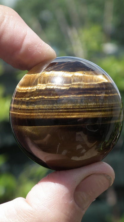 Tiger eye sphere // Tiger eye crystal //49mm Tiger eye sphere