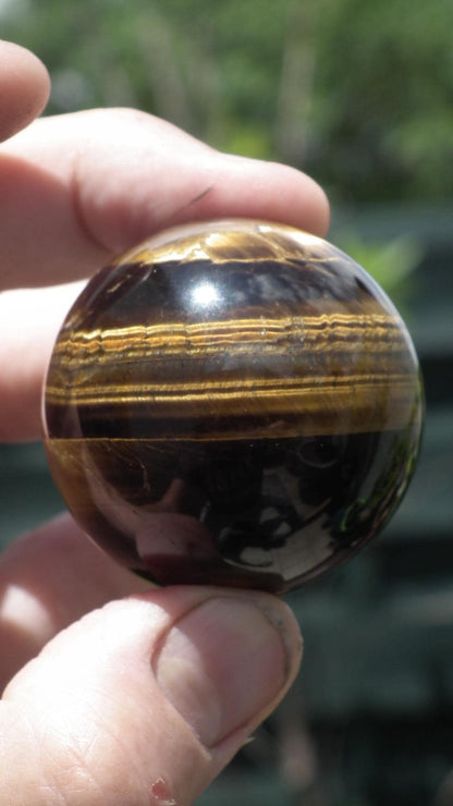 Tiger eye sphere // Tiger eye crystal //49mm Tiger eye sphere