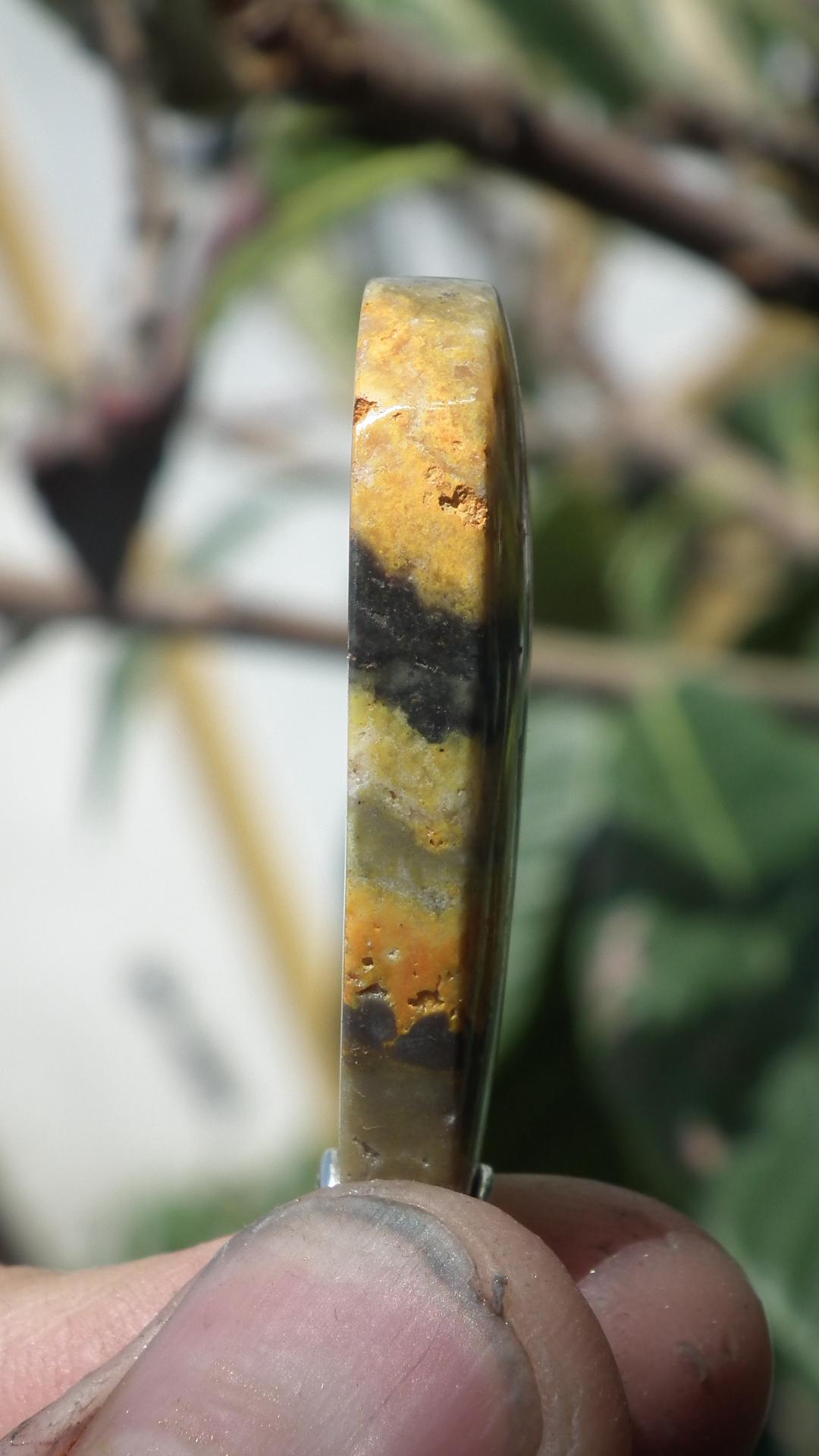 Yellow Bee Jasper pendant with sterling silver bail