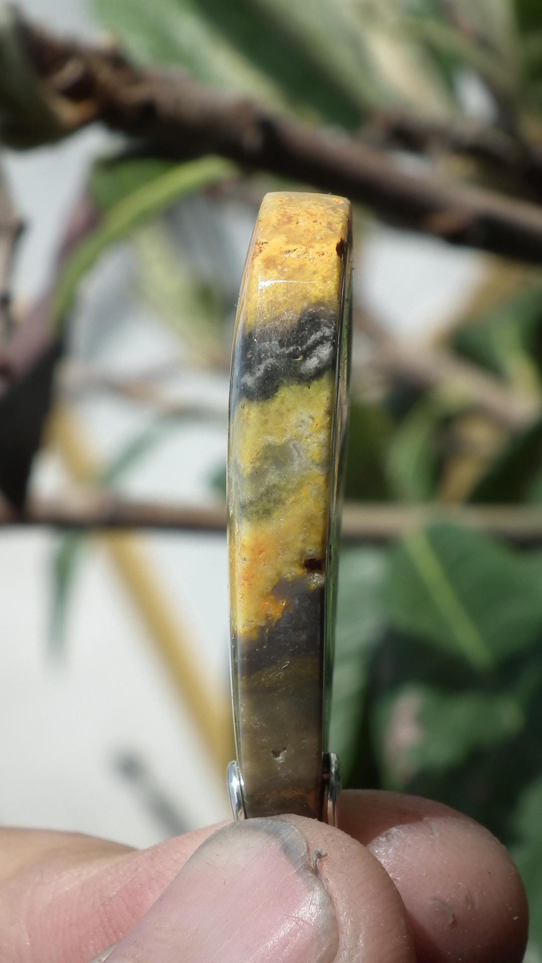 Yellow Bee Jasper pendant with sterling silver bail