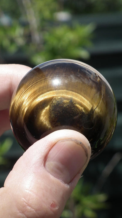 Tiger eye sphere // Tiger eye crystal //49mm Tiger eye sphere