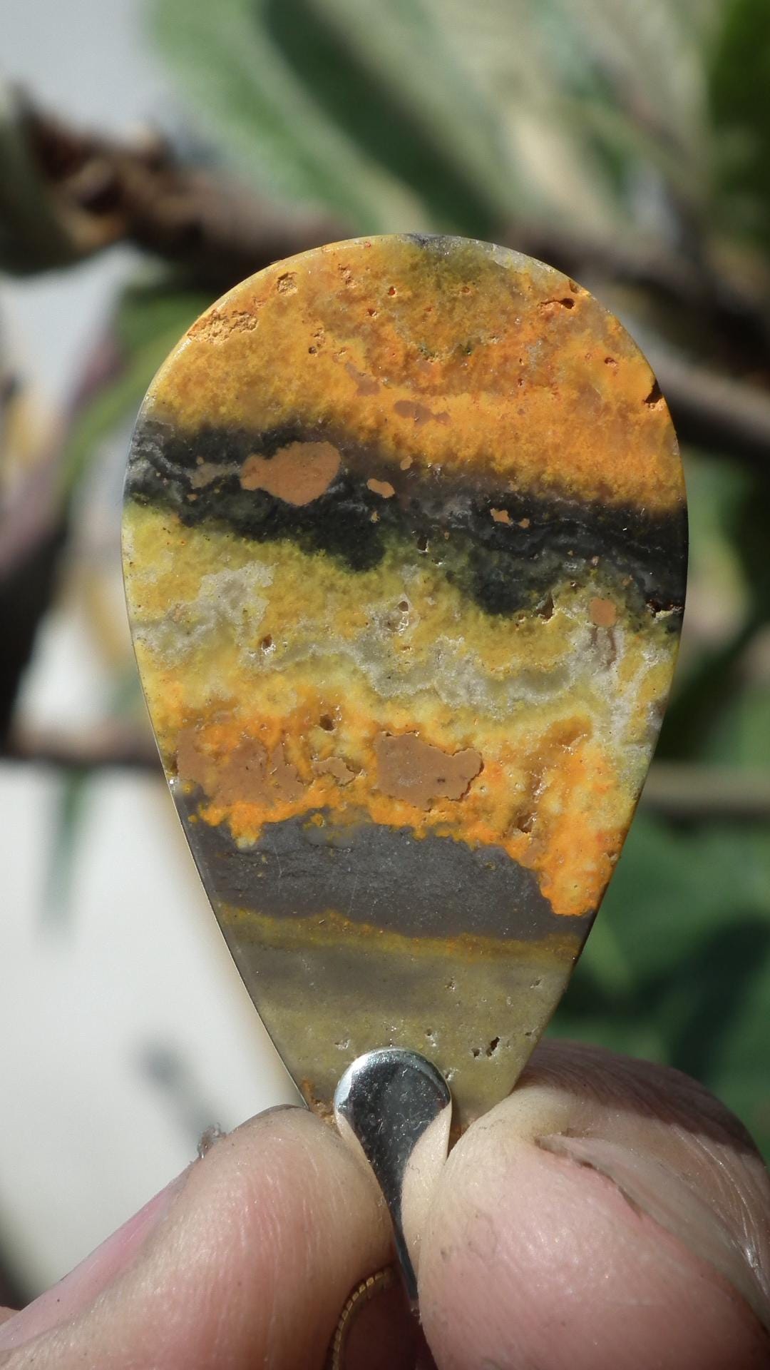 Yellow Bee Jasper pendant with sterling silver bail