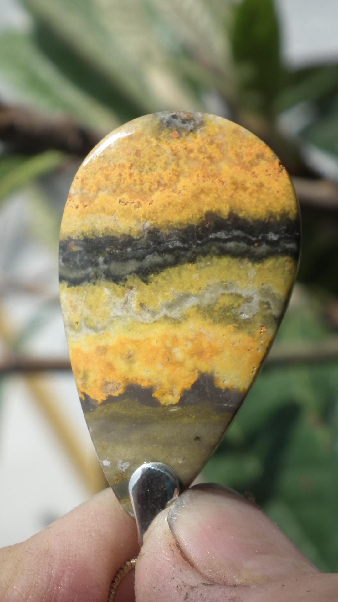 Yellow Bee Jasper pendant with sterling silver bail