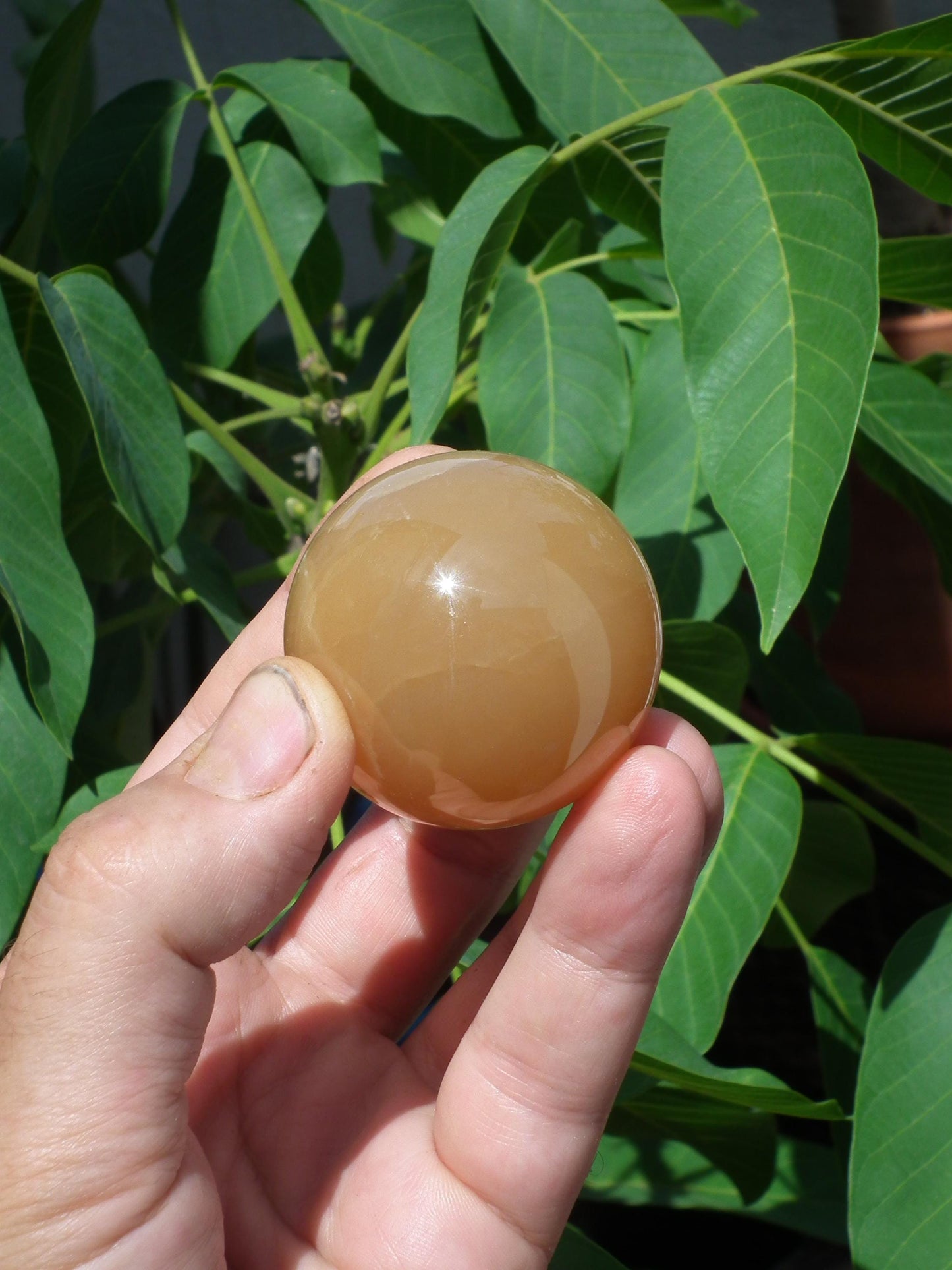 Honey calcite sphere // Calcite crystal // Crystal ball