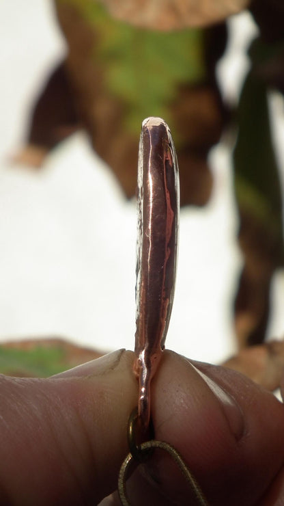 Mexican agate necklage / Crazy lace agate / Electroformed copper