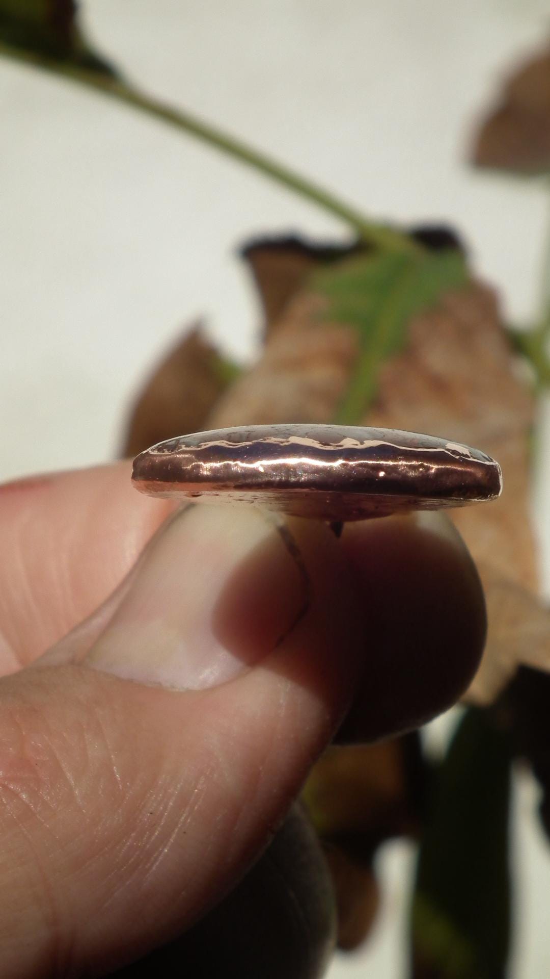 Mexican agate necklage / Crazy lace agate / Electroformed copper