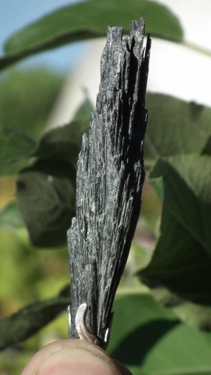 Black Kynanite pendant