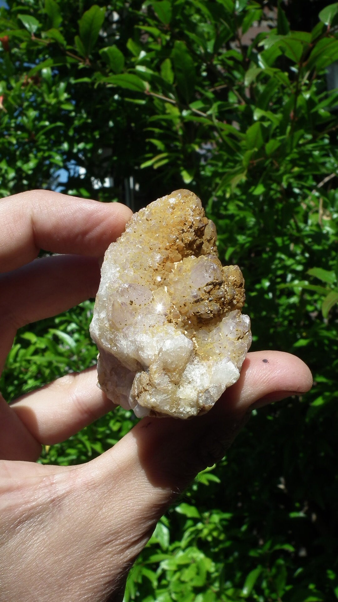 Spirit quartz / Cactus quarts, Ametrine, Limonite