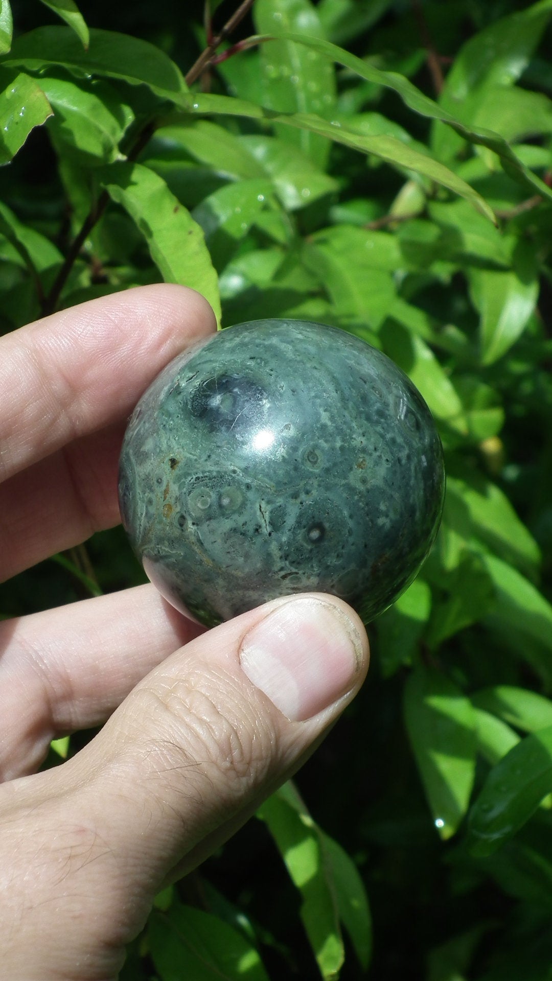 51mm Kambaba Jasper sphere