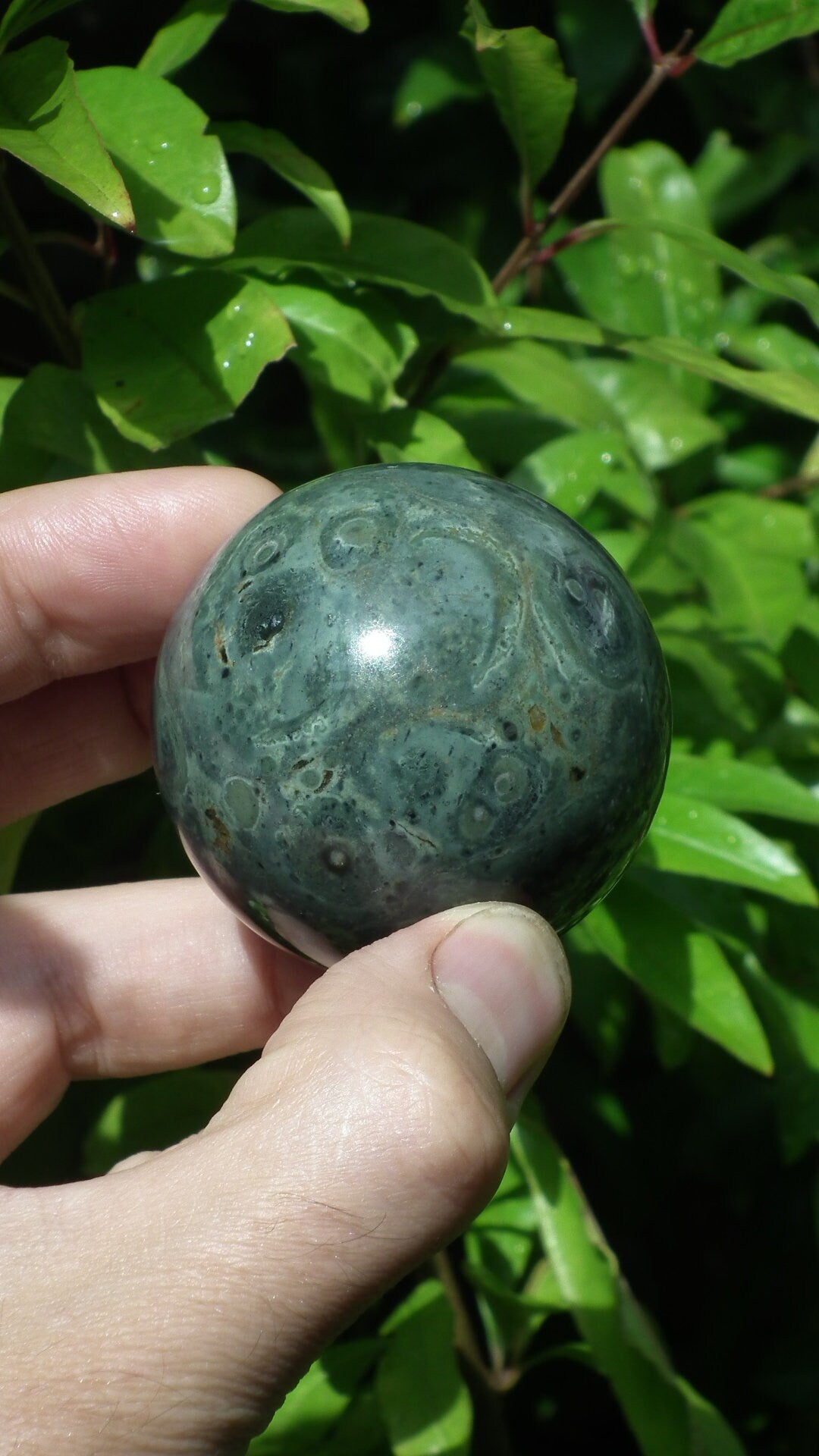 51mm Kambaba Jasper sphere
