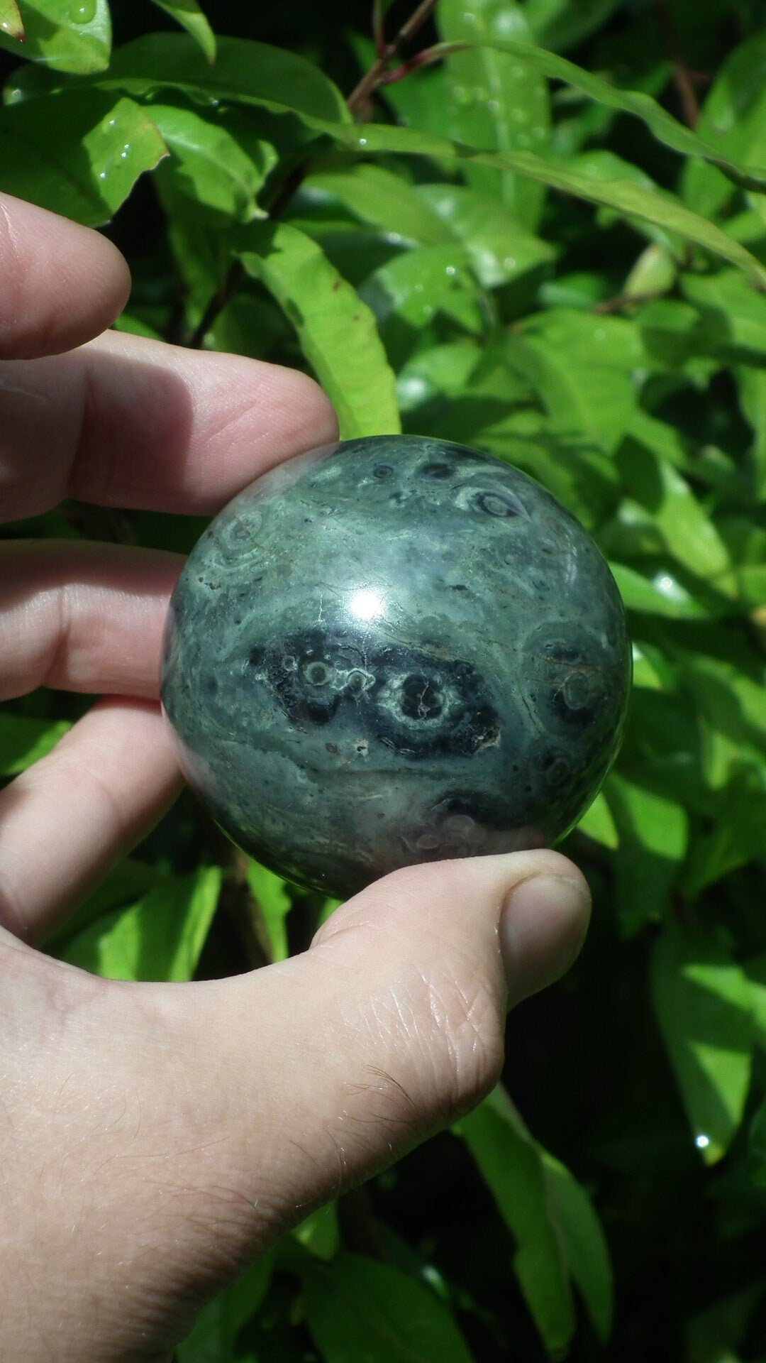 51mm Kambaba Jasper sphere