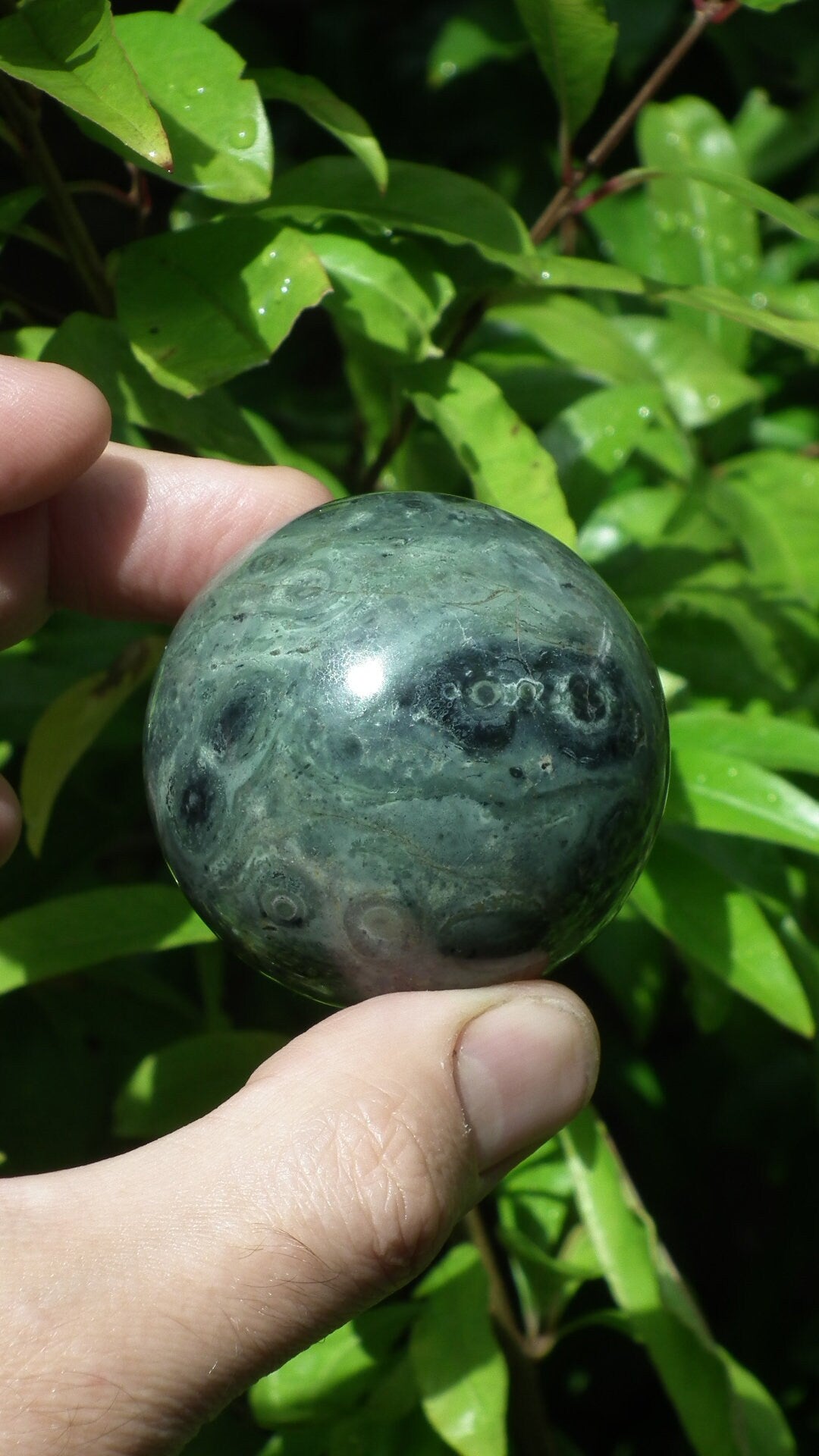 51mm Kambaba Jasper sphere