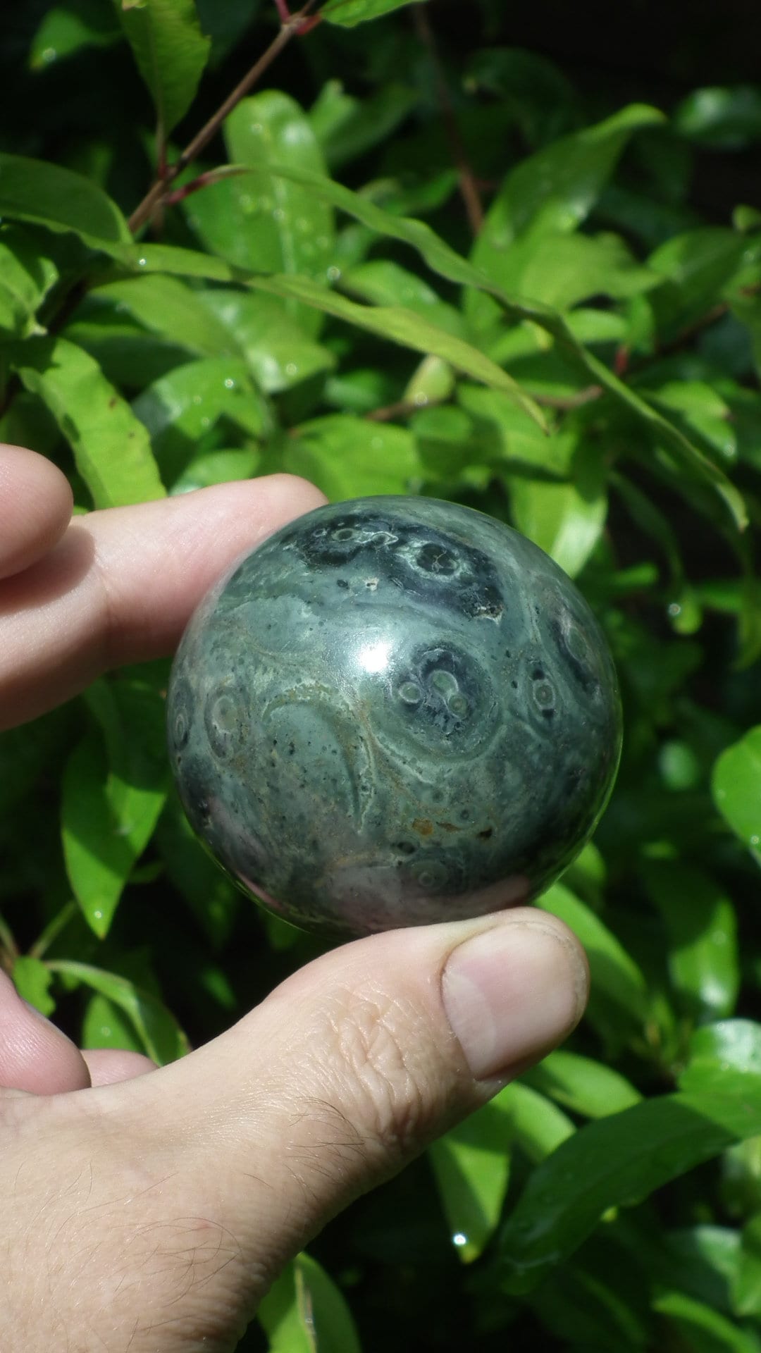 51mm Kambaba Jasper sphere