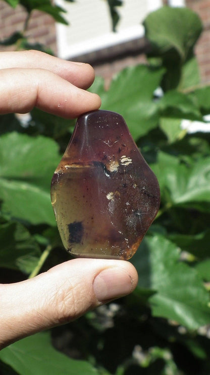 Blue sumatra Amber / Bernstein palmpiece / freeform