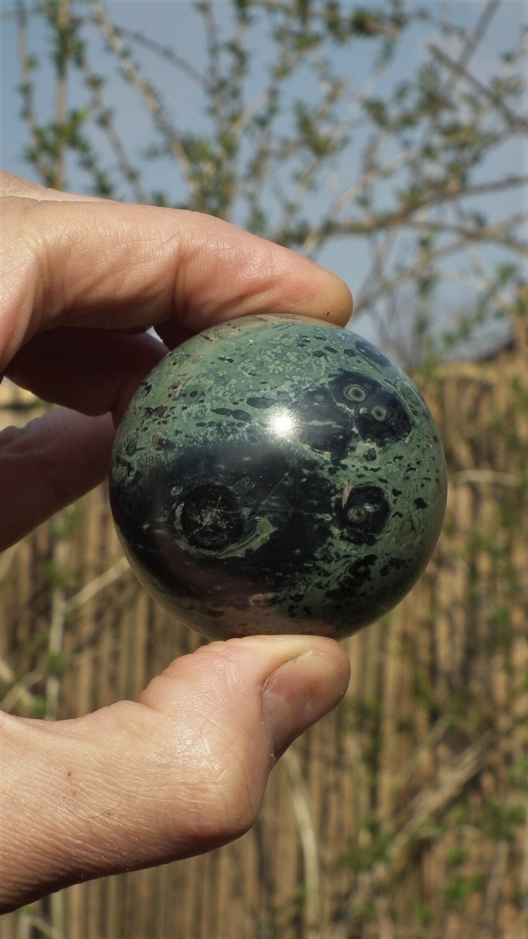 55mm Kambaba Jasper sphere