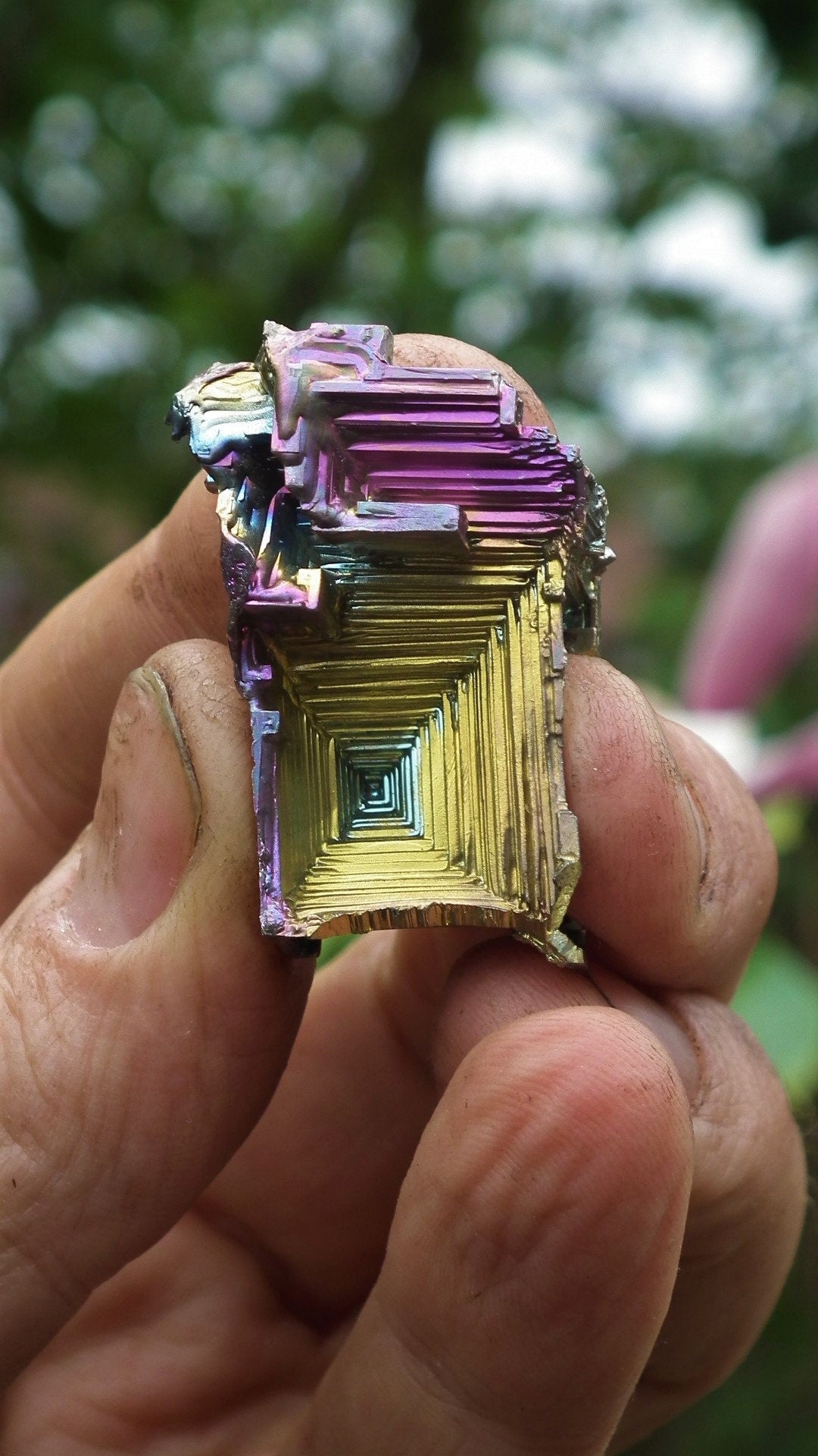 Bismuth crystal