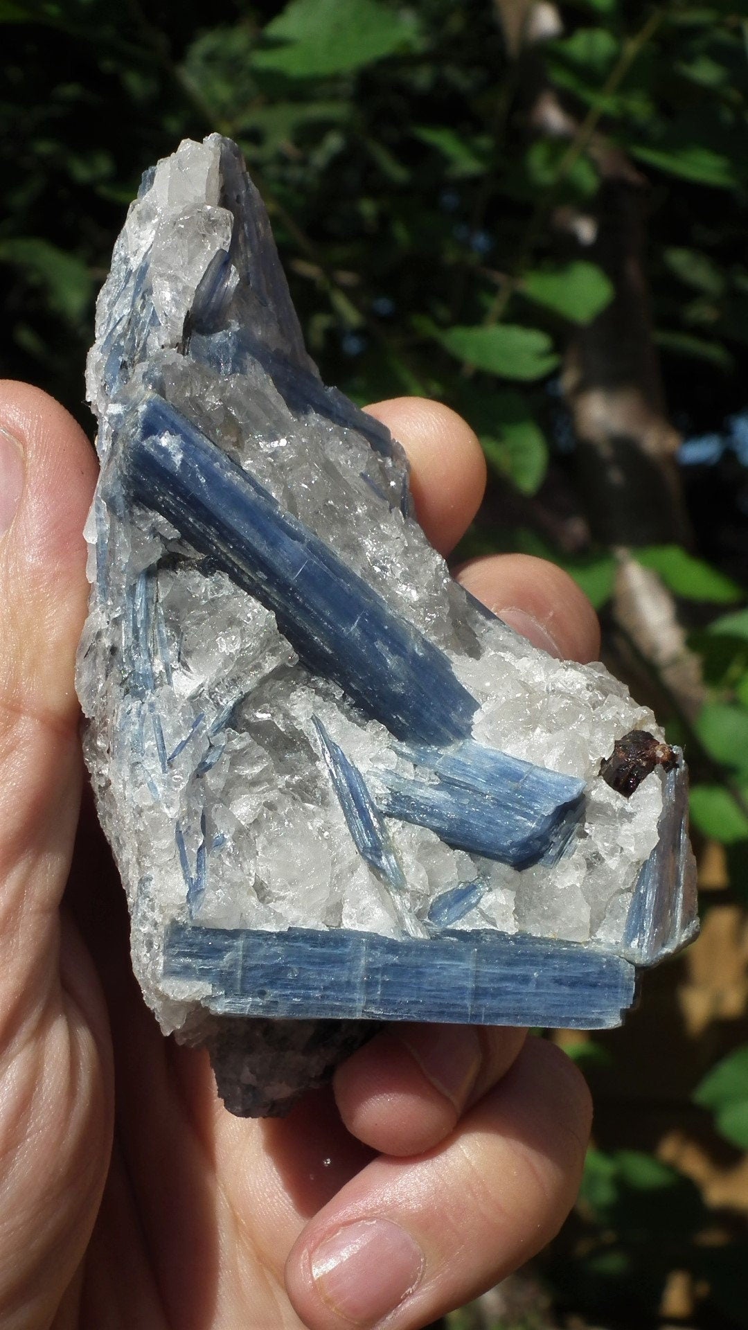 raw blue kyanite / large blue kyanite