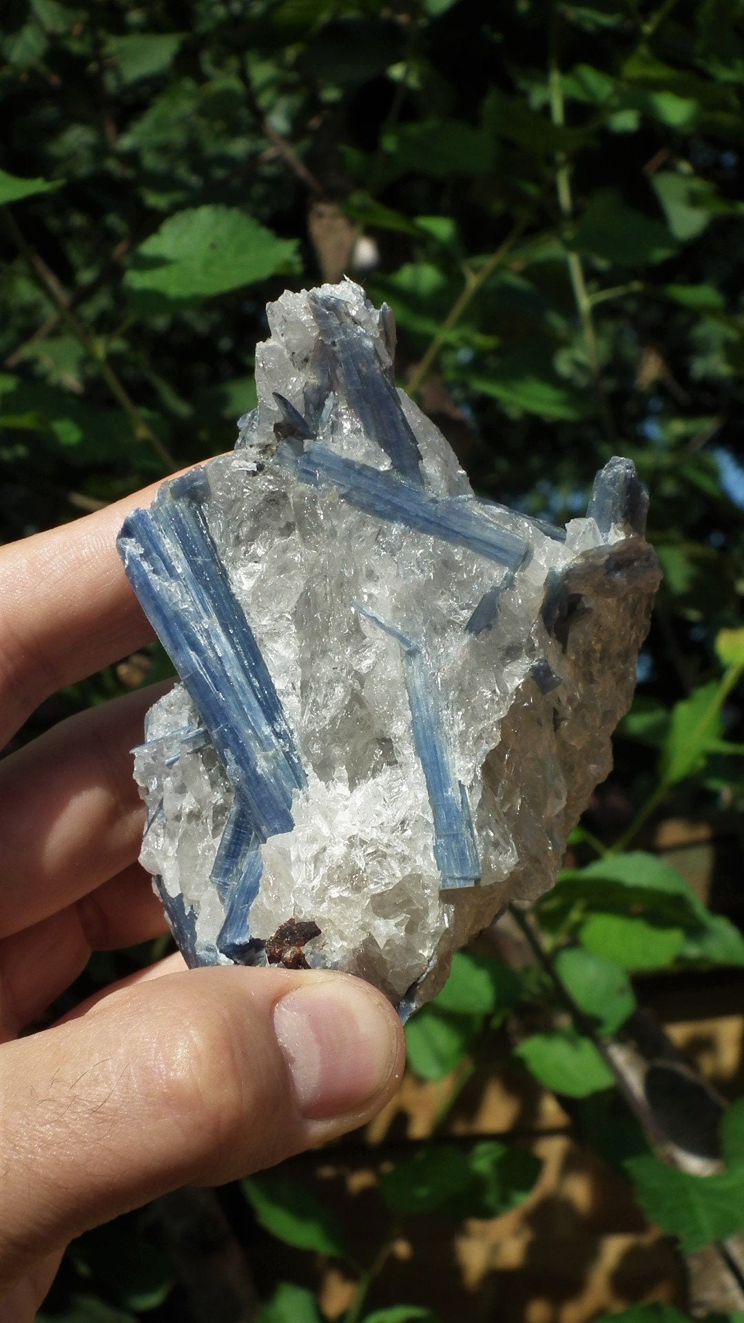 raw blue kyanite / large blue kyanite